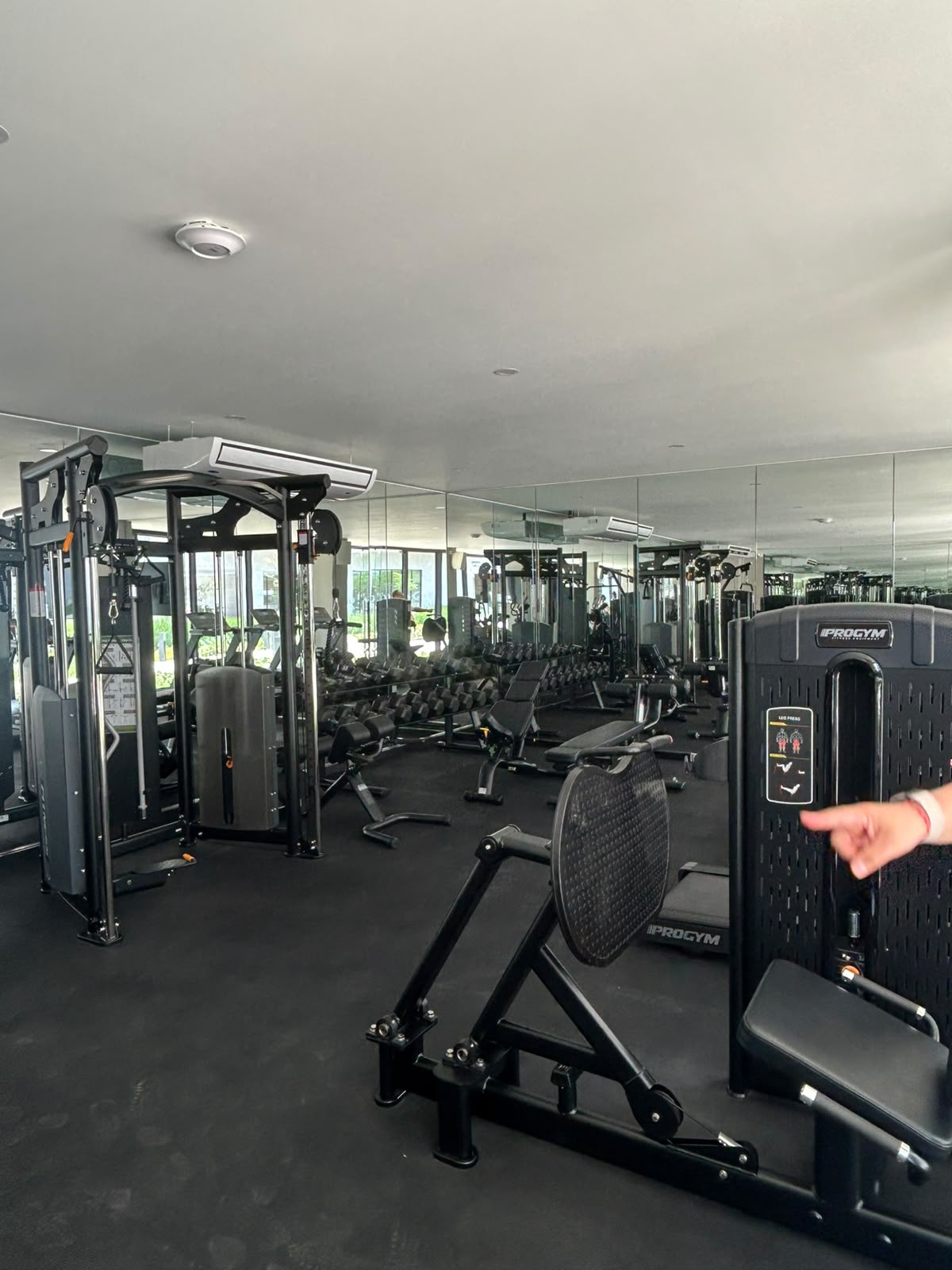 Gimnasio